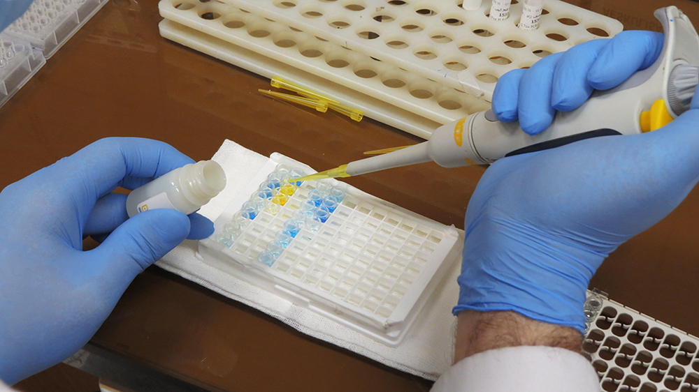 Laboratory